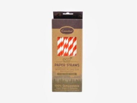 Essential 50 Red Striped Paper Straws