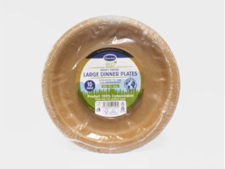 Essential 10 Kraft Paper Large Dinner Plates
