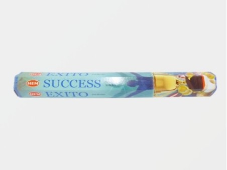 Hem Success (20 Sticks)
