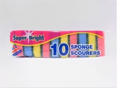 Ten Sponge Scourers (35g)