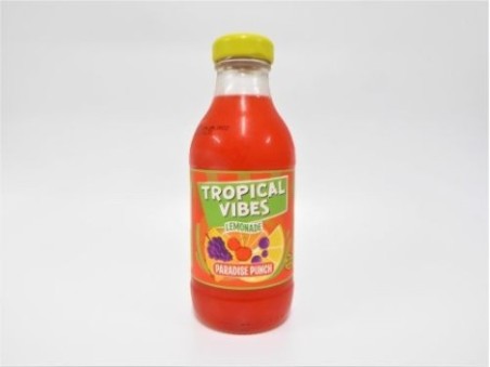 Tropical Vibes Lemonade Paradise Punch (300ml)